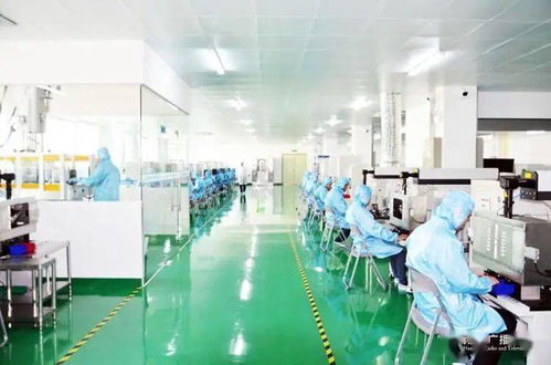 南寧 創新激發經濟活力，眾多“科技種子”開花結果