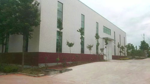 金山新動力 技術改造引領企業發展新動能